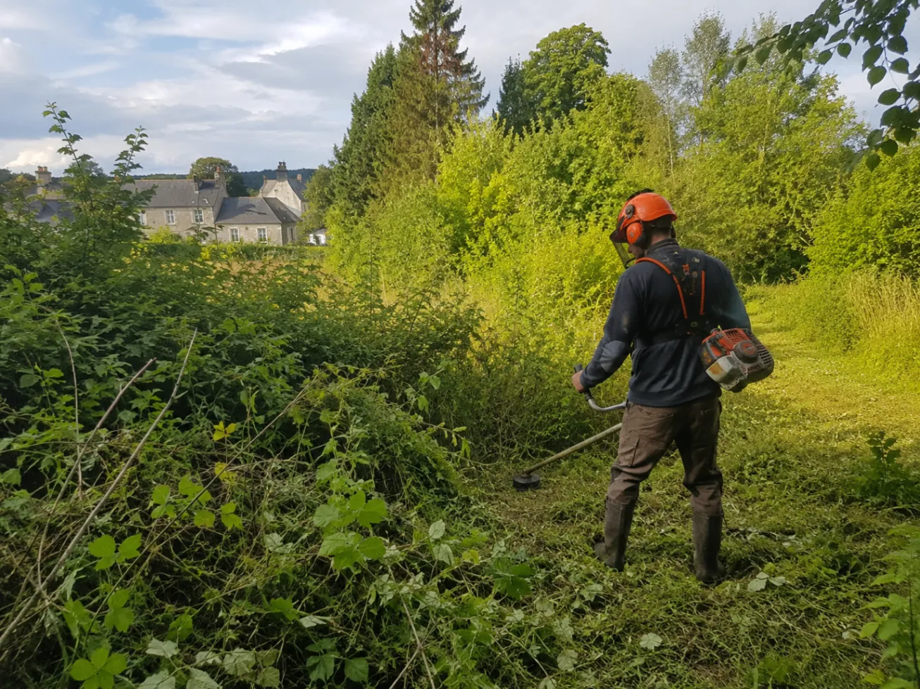 Débroussaillage